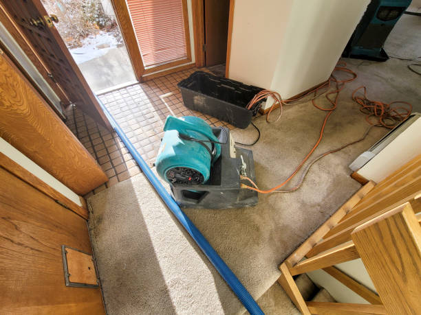 Professional Water damage restoration in Elkhart, KS