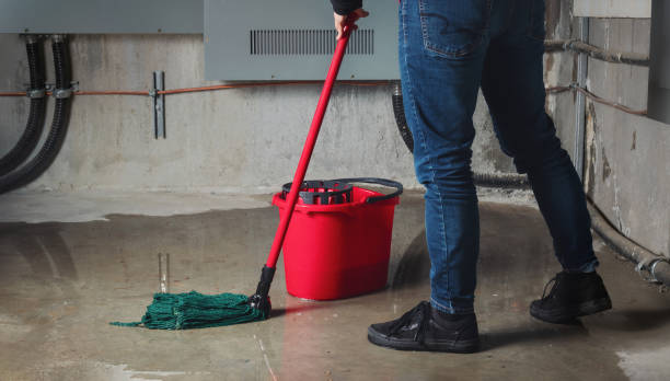 Best Carpet water damage restoration  in Elkhart, KS