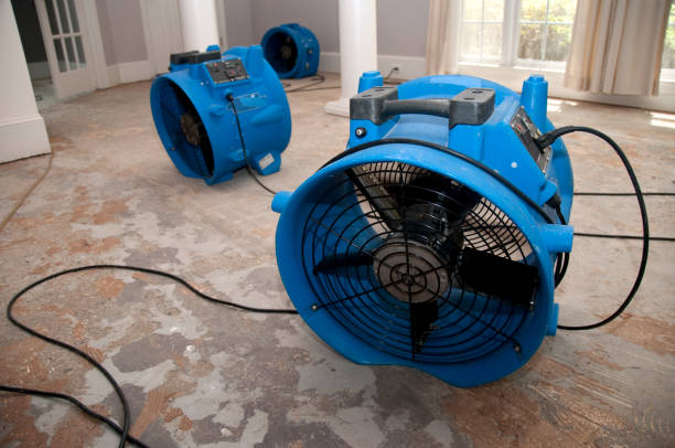 Best Flood restoration services  in Elkhart, KS