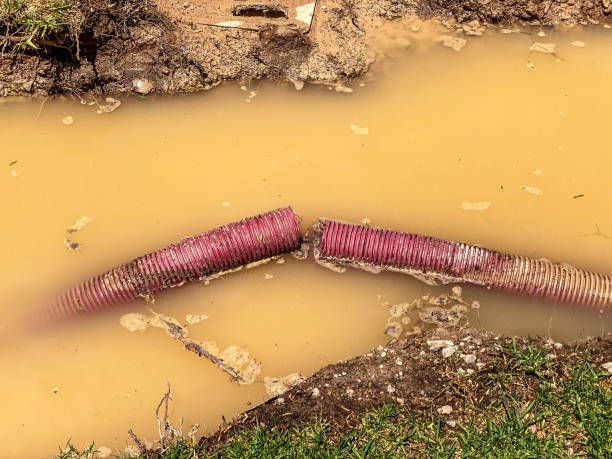 Best Emergency water extraction  in Elkhart, KS